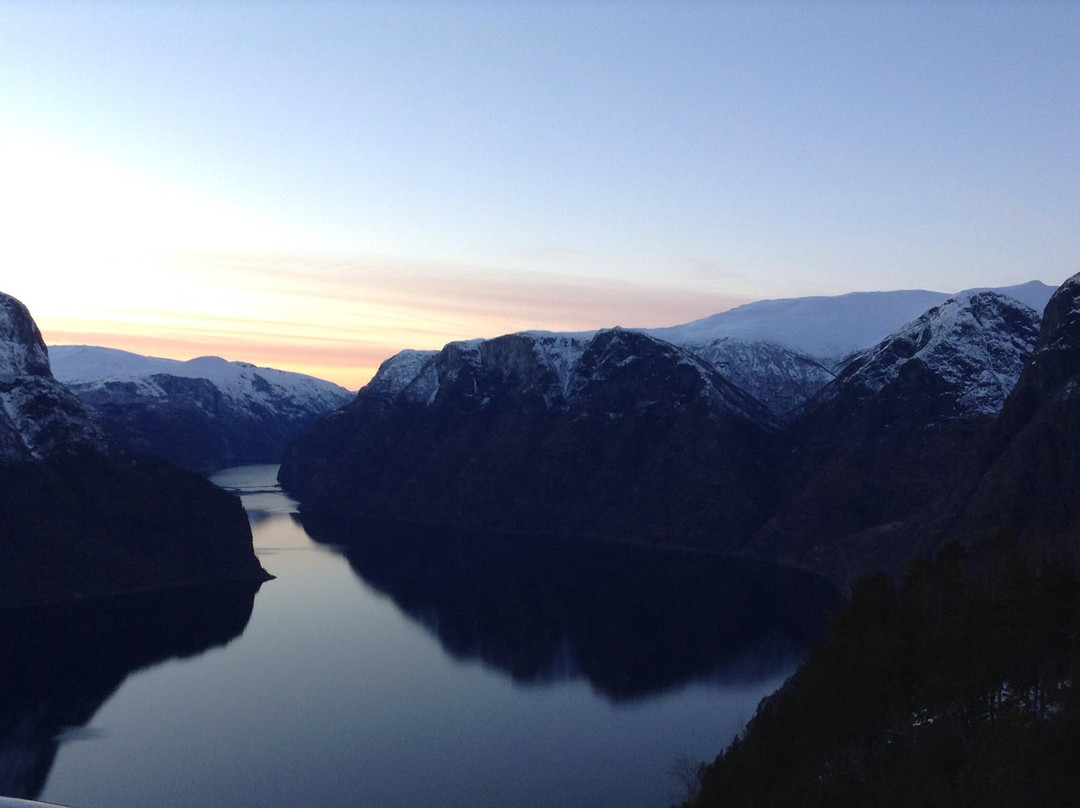 FjordSafari-弗洛姆必去景点