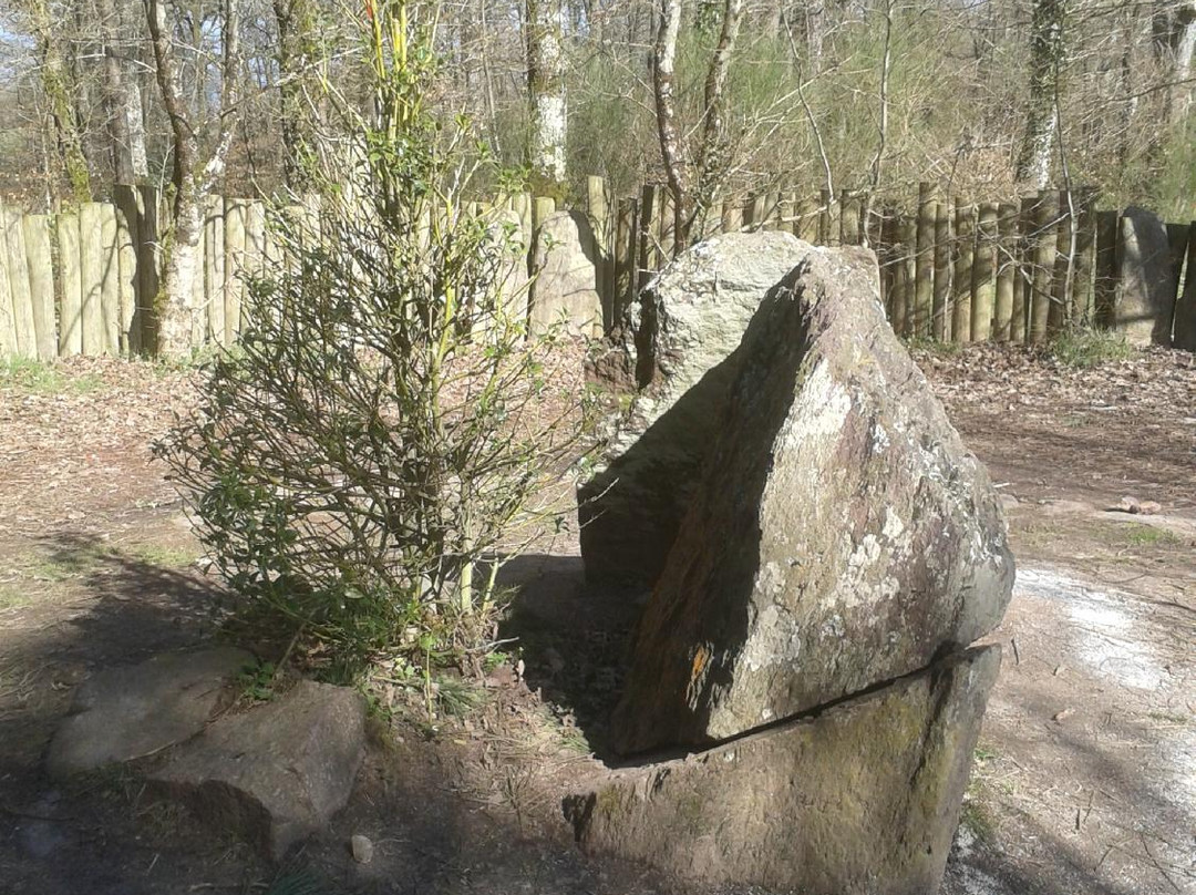Tombeau de Merlin / Fontaine de Jouvence景点图片