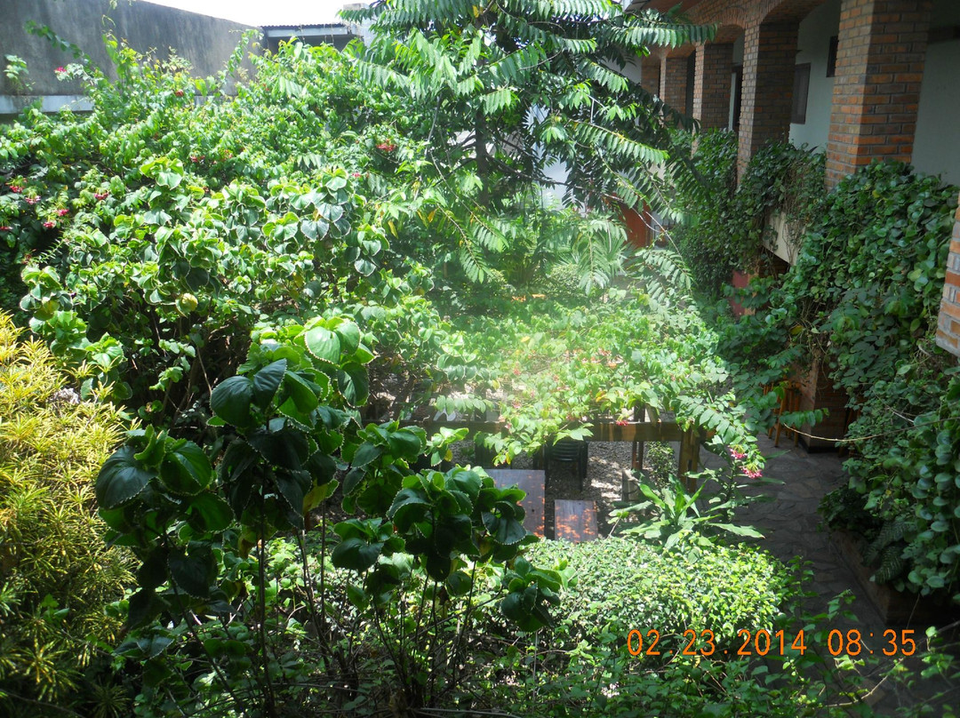 Hotel Botanika主图