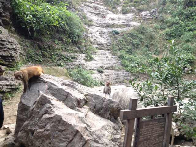 三峡人家风景区-宜昌市必去景点