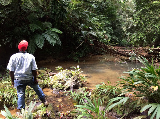 Peter Cox Wildlife Tours-多巴哥必去景点