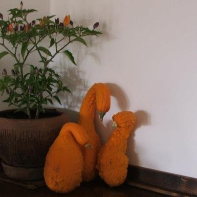 Omurtag酒店住宿-Osmarski Houses