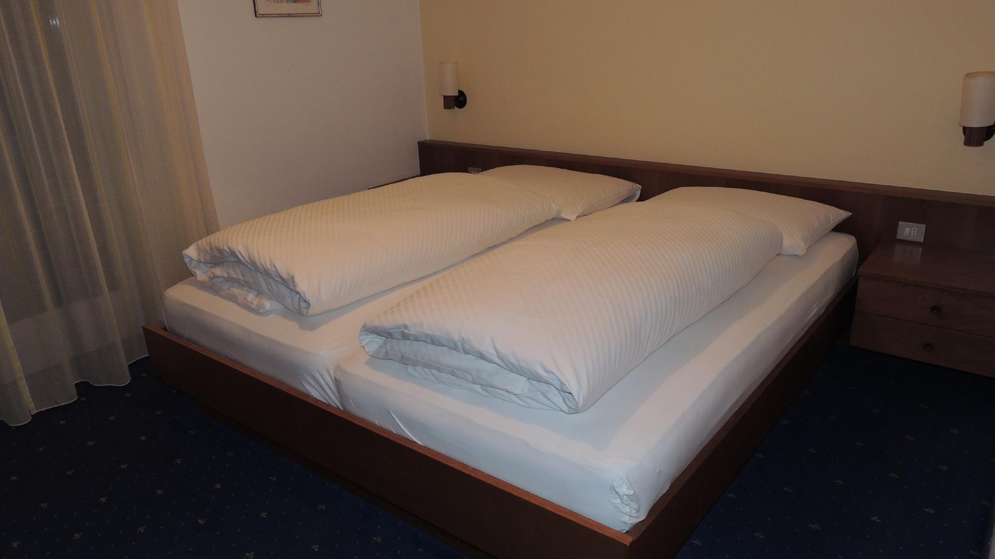 Pension Gruenwald-客卧