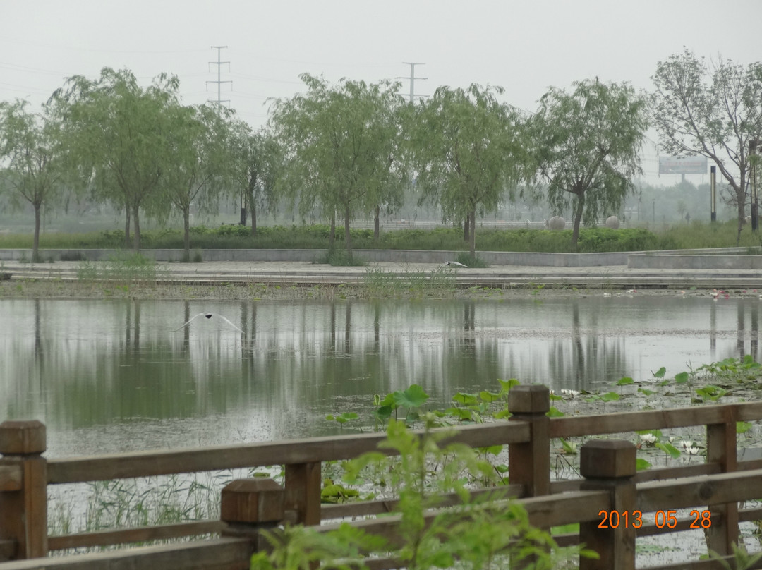 衡水湖-衡水市必去景点
