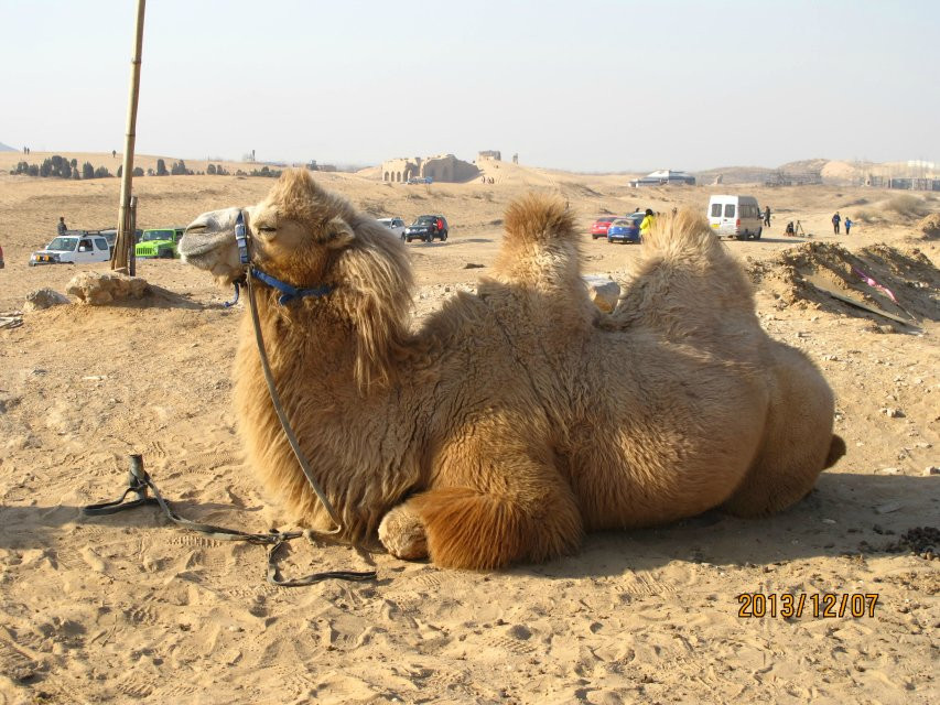 天漠-怀来县必去景点