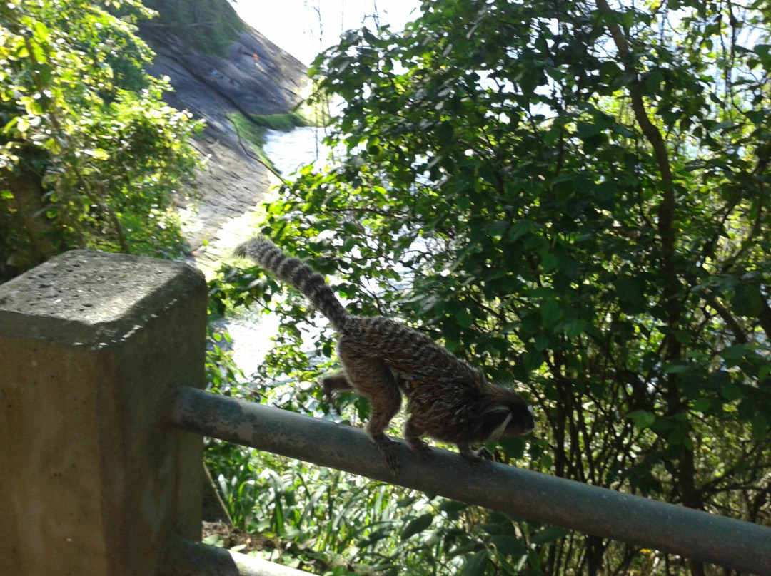 Claudio Coutinho Trail-里约热内卢必去景点