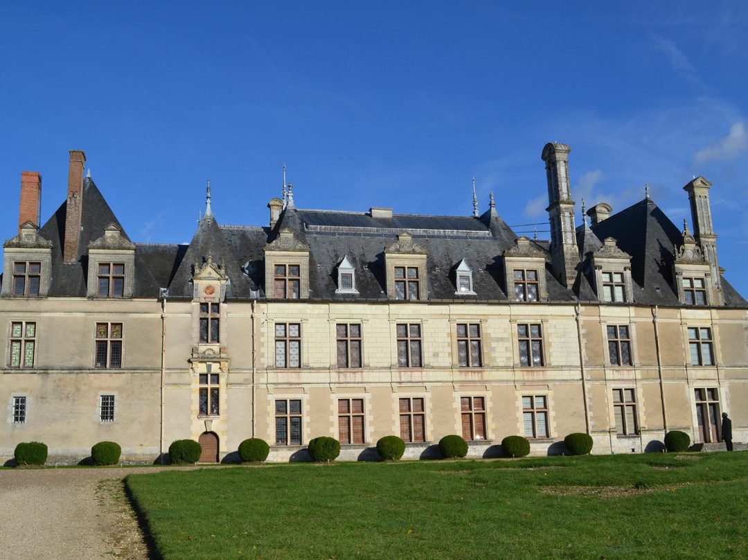 Parc et Château de Beauregard景点图片