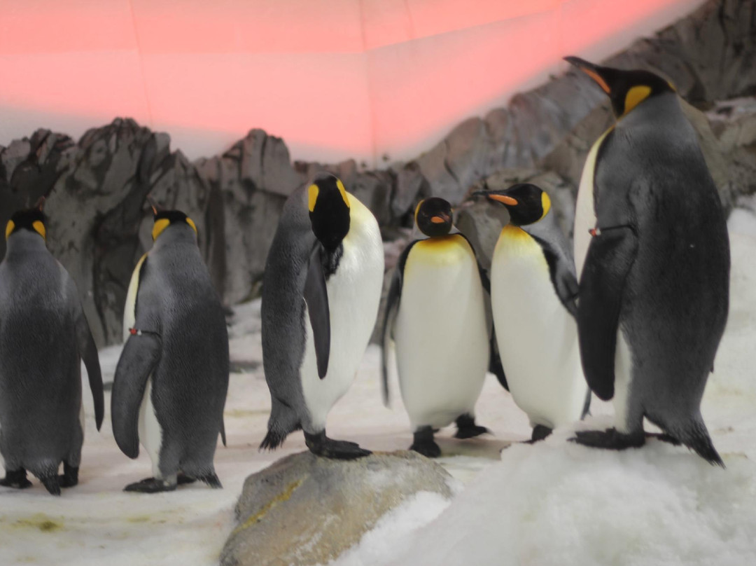 墨尔本水族馆-墨尔本必去景点