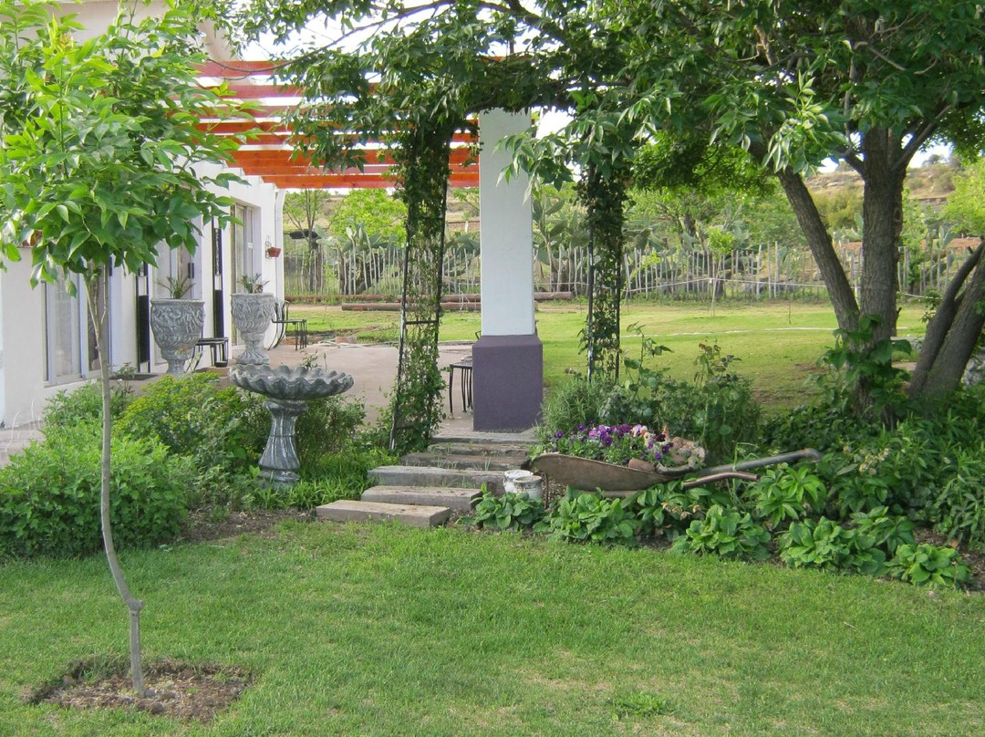 The Nest Bed & Breakfast主图