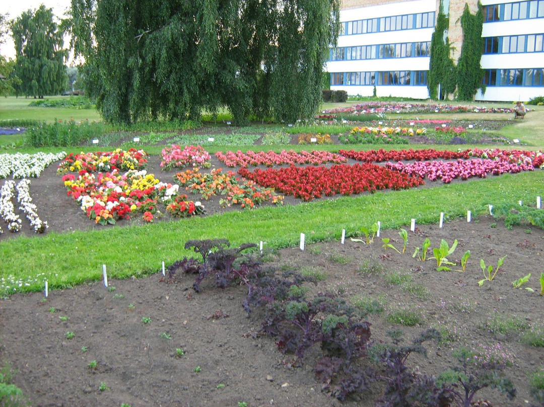 Dendrologic Park of Bulduri Gardening College-尤尔马拉必去景点