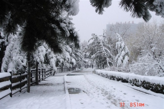 临江北山公园-临江市必去景点