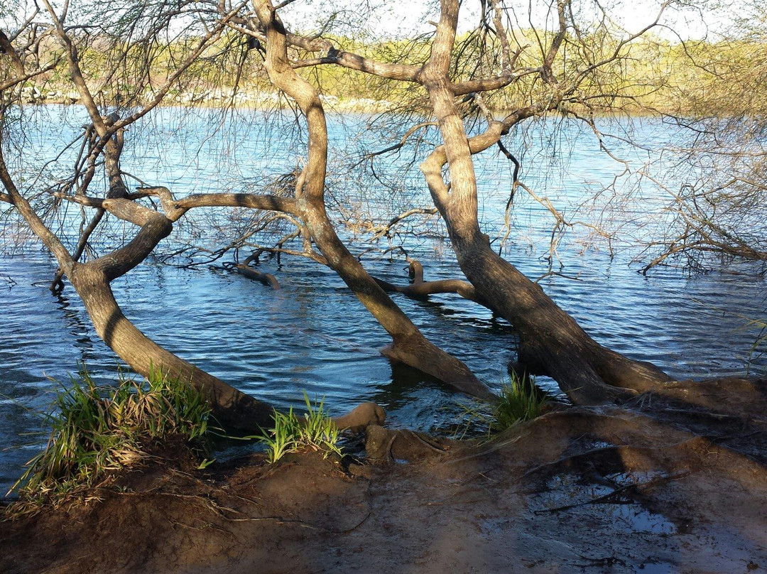 Jardin Botanico de la Universidad Austral de Chile-瓦尔迪维亚必去景点