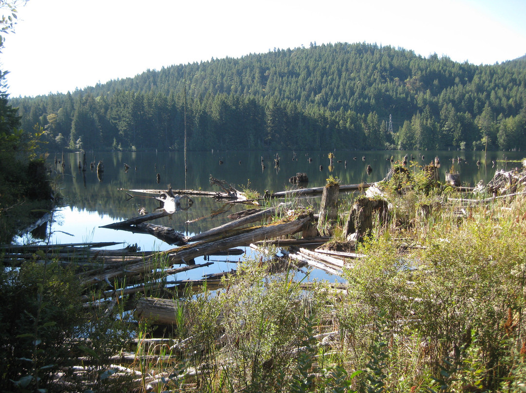 Westwood Lake Park景点图片