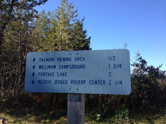 Chugach National Forest-苏厄德必去景点