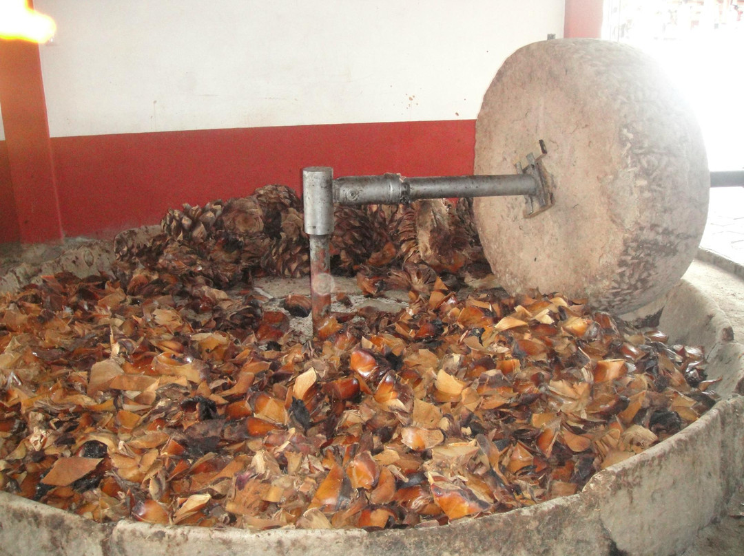 El Rey de Matatlan-Tlacolula必去景点