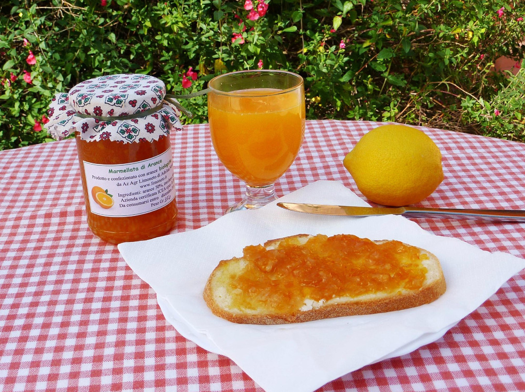 Agriturismo Limoneto-锡拉库扎必去景点