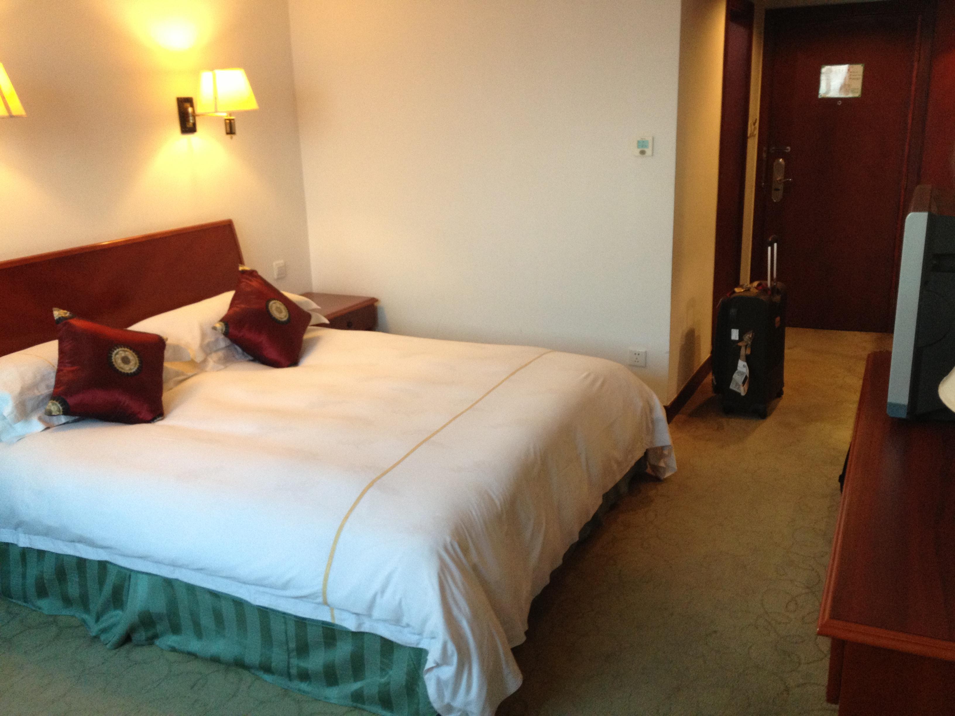 天鹤大酒店-客卧