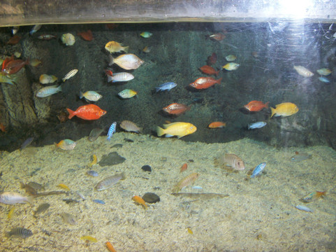 太平洋海底世界博览馆-北京市必去景点