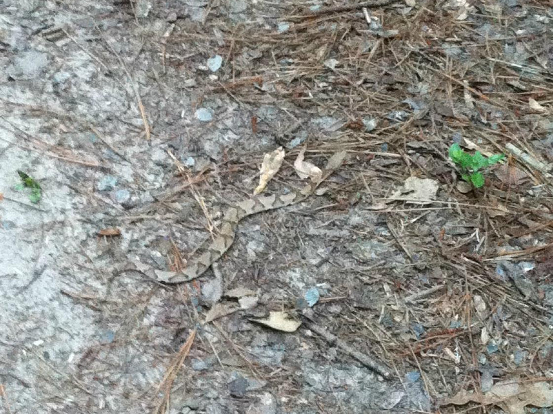 George Mitchell Nature Preserve-伍德兰兹必去景点