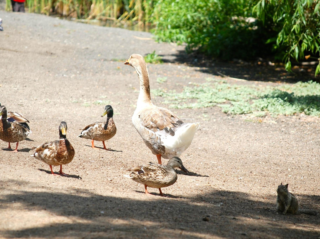 Guajome County Park-欧申赛德必去景点