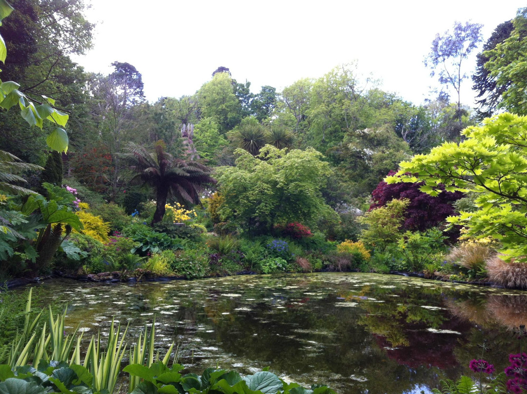 Ascog Hall Fernery and Garden-Ascog必去景点