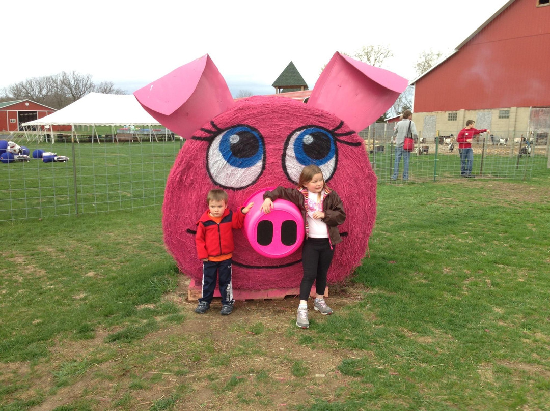 Busy Barns Adventure Farm-Fort Atkinson必去景点
