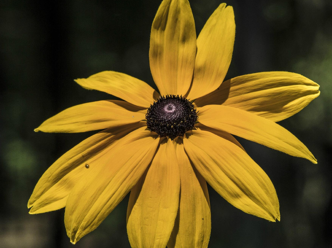 South Arkansas Arboretum-El Dorado必去景点
