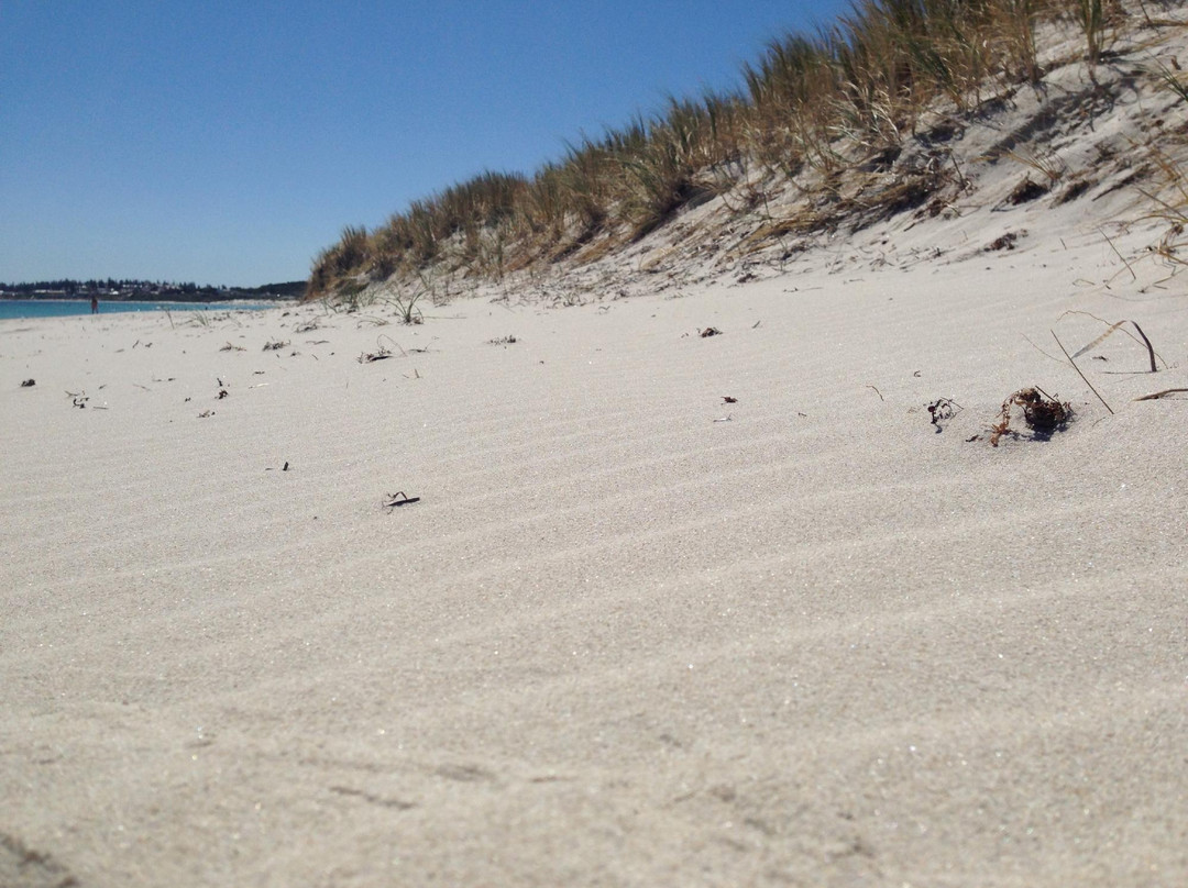 Port Beach-弗里曼特尔必去景点