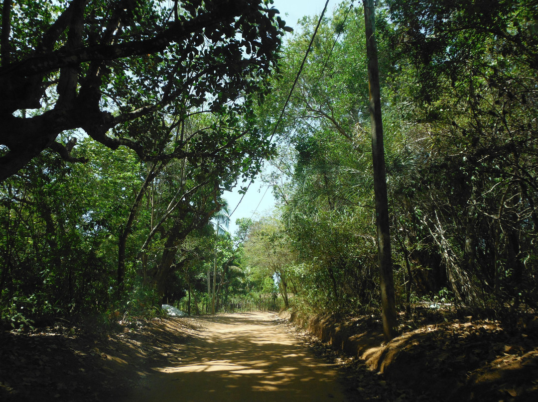 Reserva de Sapiranga-普拉亚多海滩必去景点