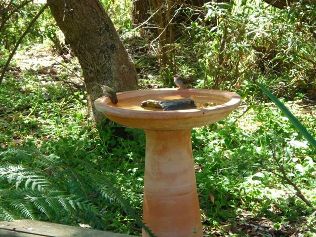 Venus Bay Eco Retreat-Venus Bay必去景点