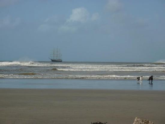 Poppit Sands Beach-Cardigan必去景点