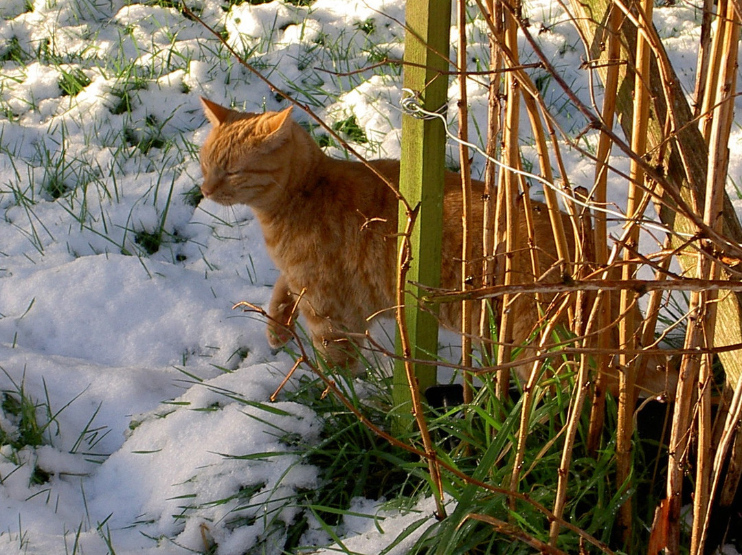 Burrington酒店住宿-Lower Buckton Country House