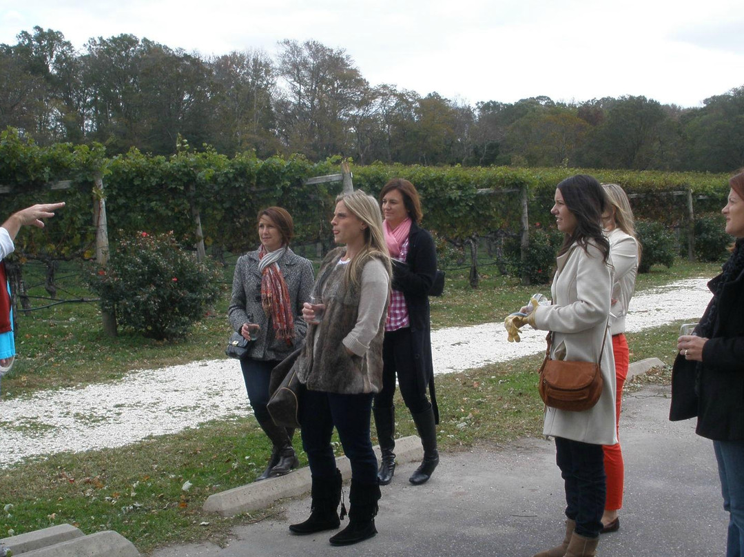 Tastings and Tours- Cape May景点图片
