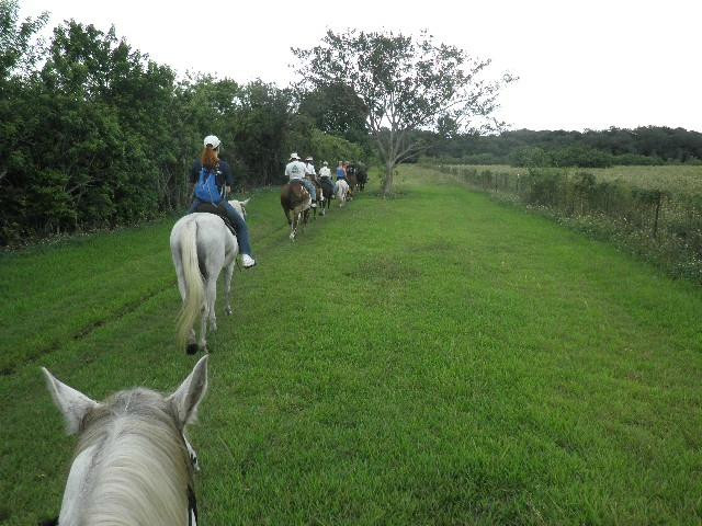Bar-B-Ranch-戴维必去景点