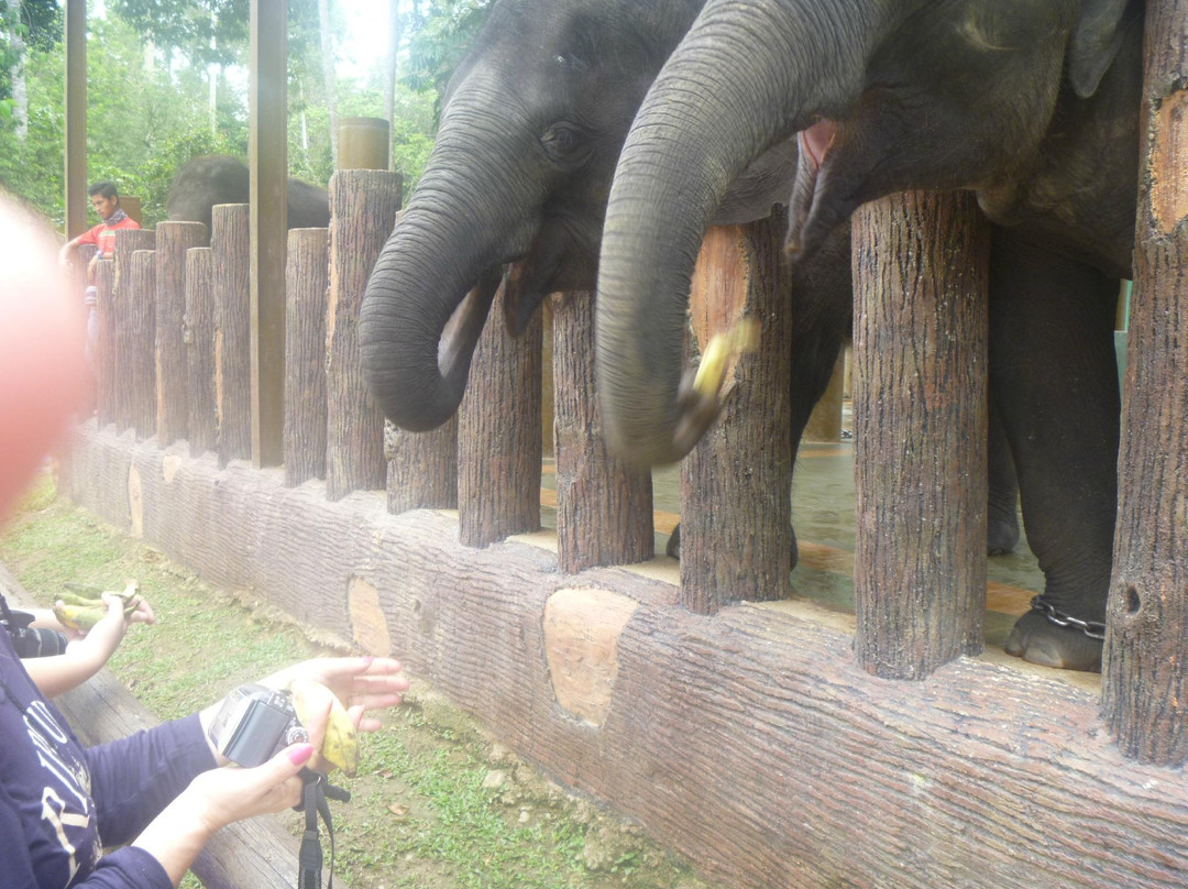 Kuala Lumpur Private Tours Specialist-加影必去景点