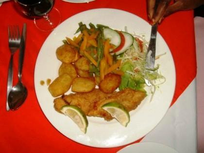 Raja Excelsior Hotel主图