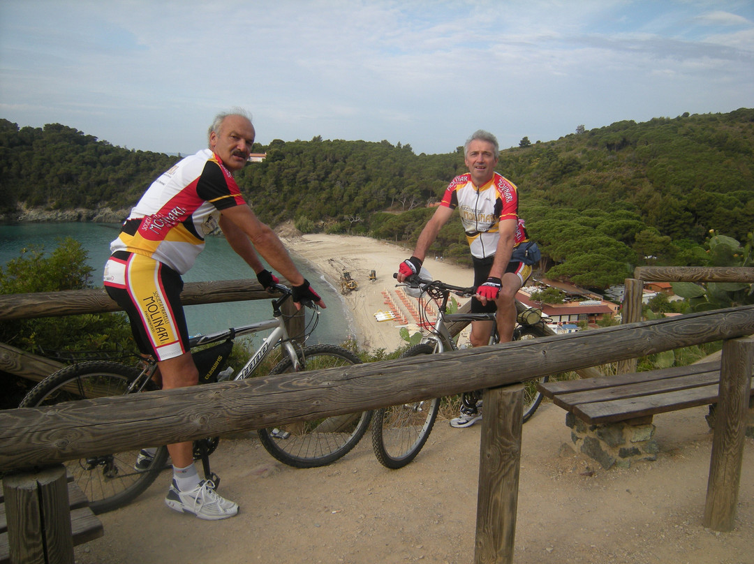 Spiaggia di Cavoli景点图片