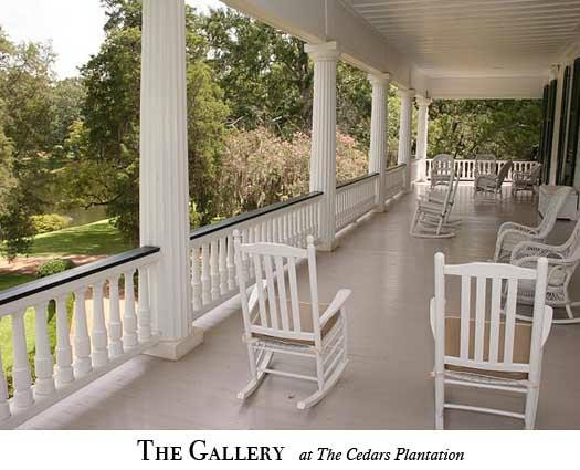 The Cedars Plantation主图