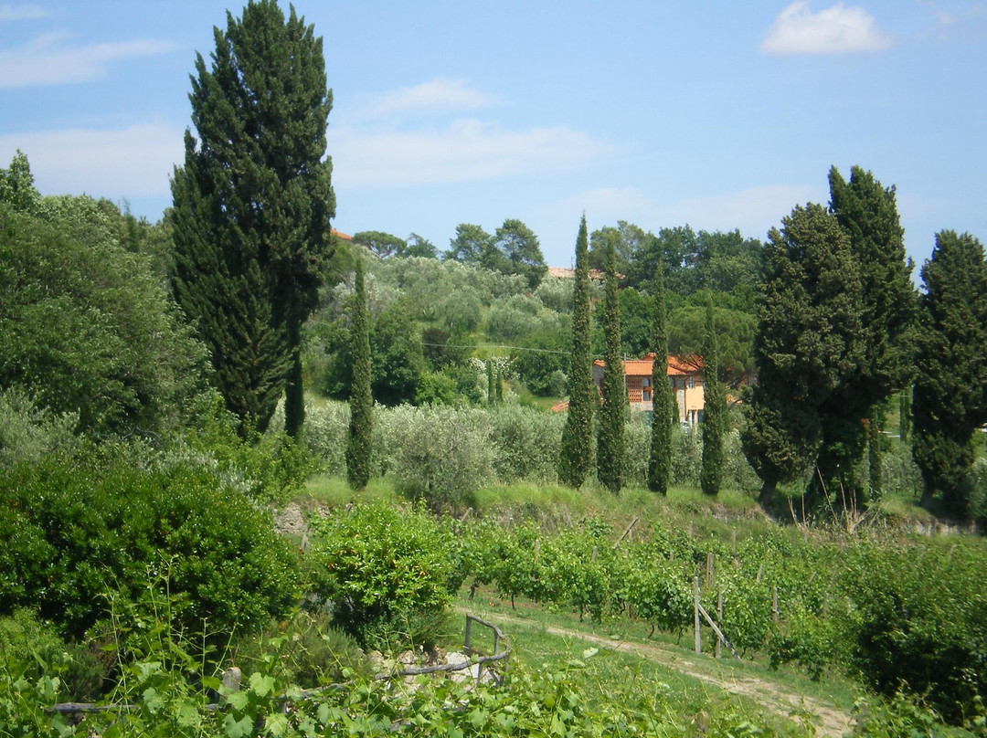 Fattoria Maionchi主图
