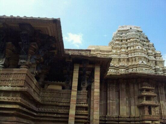 Bhadrakali Temple景点图片