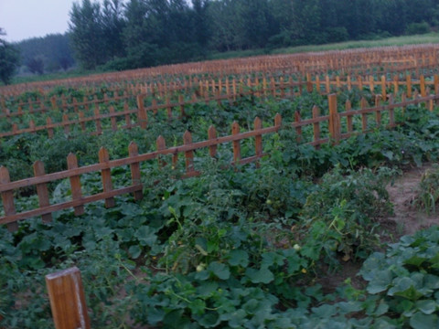 南京艳阳金牛湖农庄主图