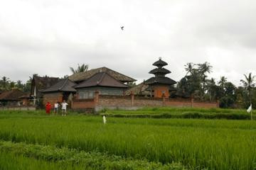 Bali Cycling Tours - Bali Moon Group景点图片