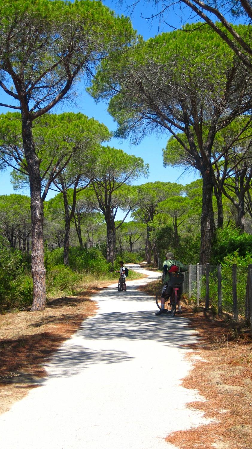 Agriturismo San Gabriele-客卧
