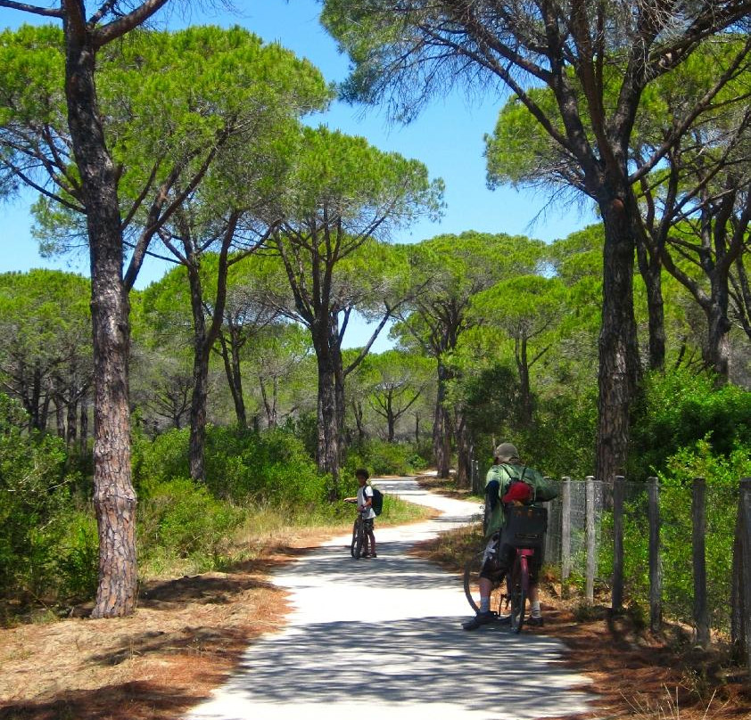 Agriturismo San Gabriele主图