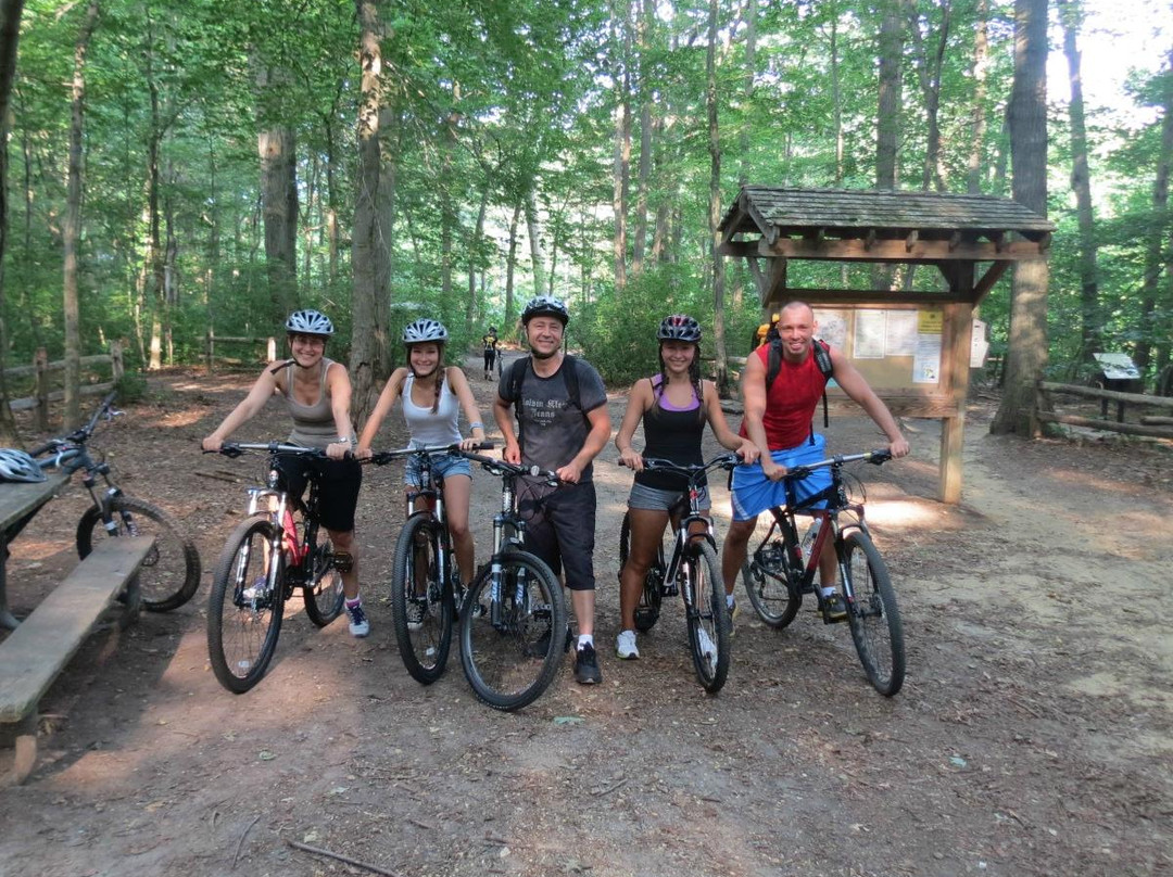 Bike Tours New York景点图片
