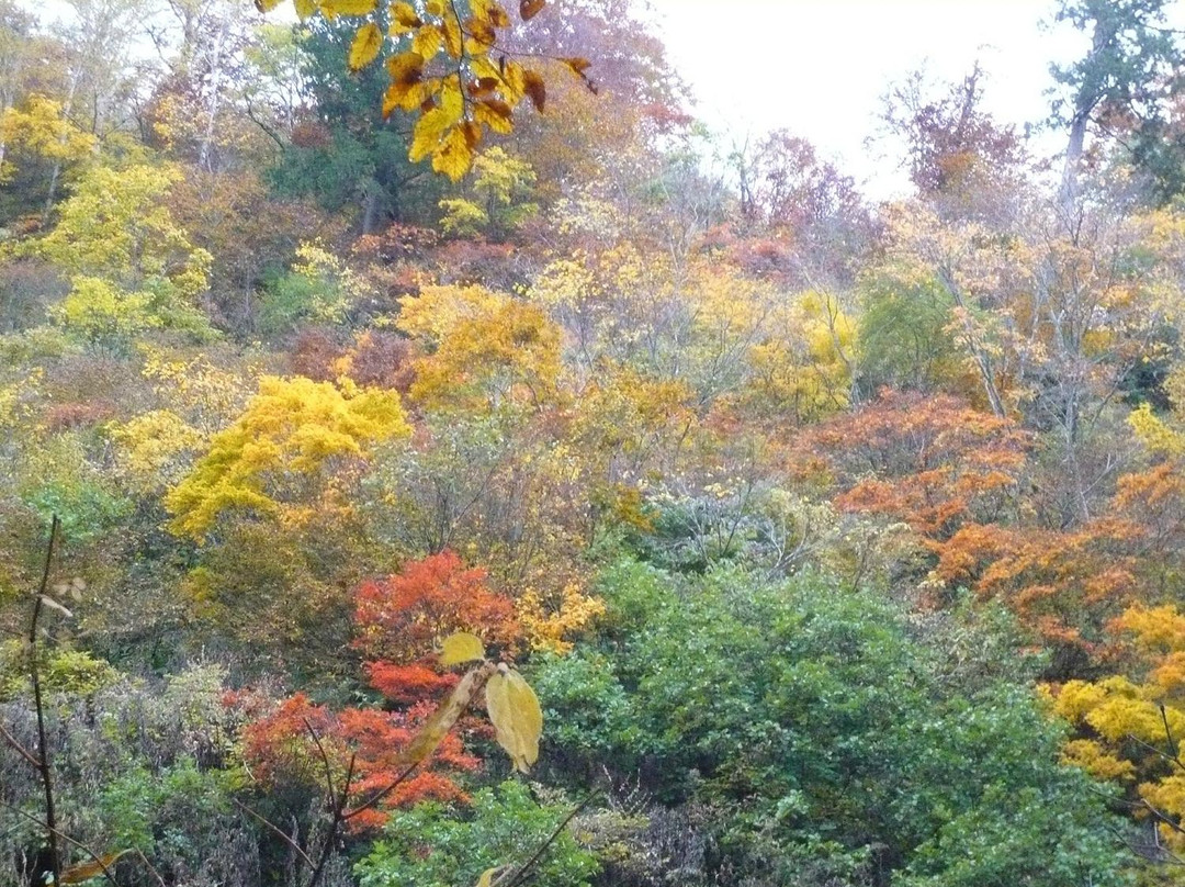 Amo Natural Park-飞弹市必去景点