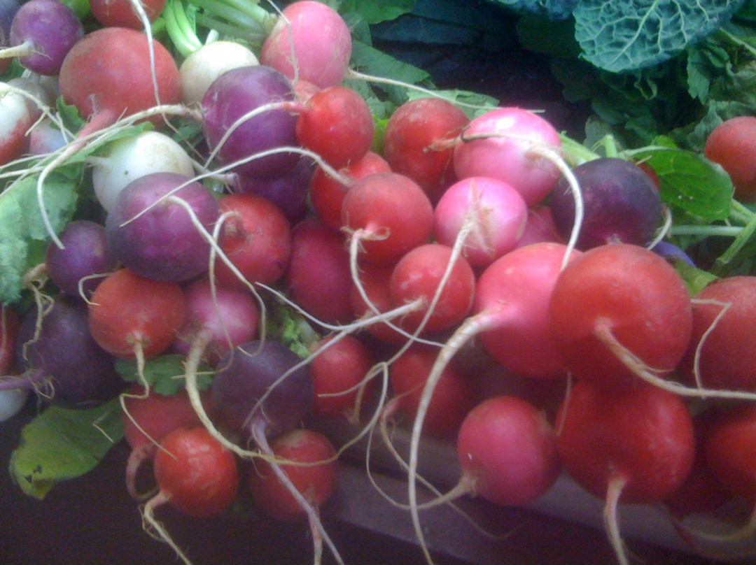 帕拉罕市场-墨尔本必去景点