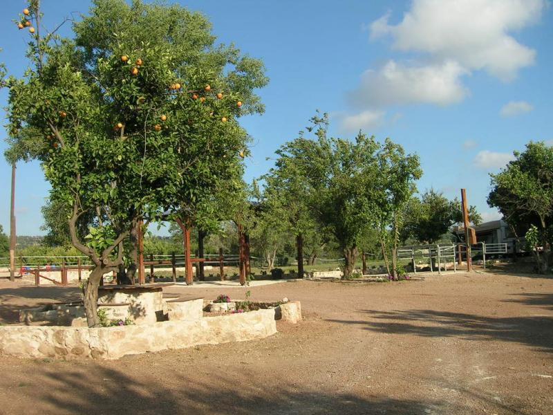 Amargeti Equestrian Club-Amargeti必去景点