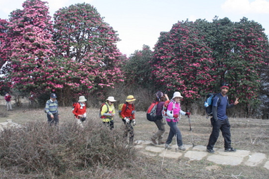 Vista Trek-加德满都必去景点