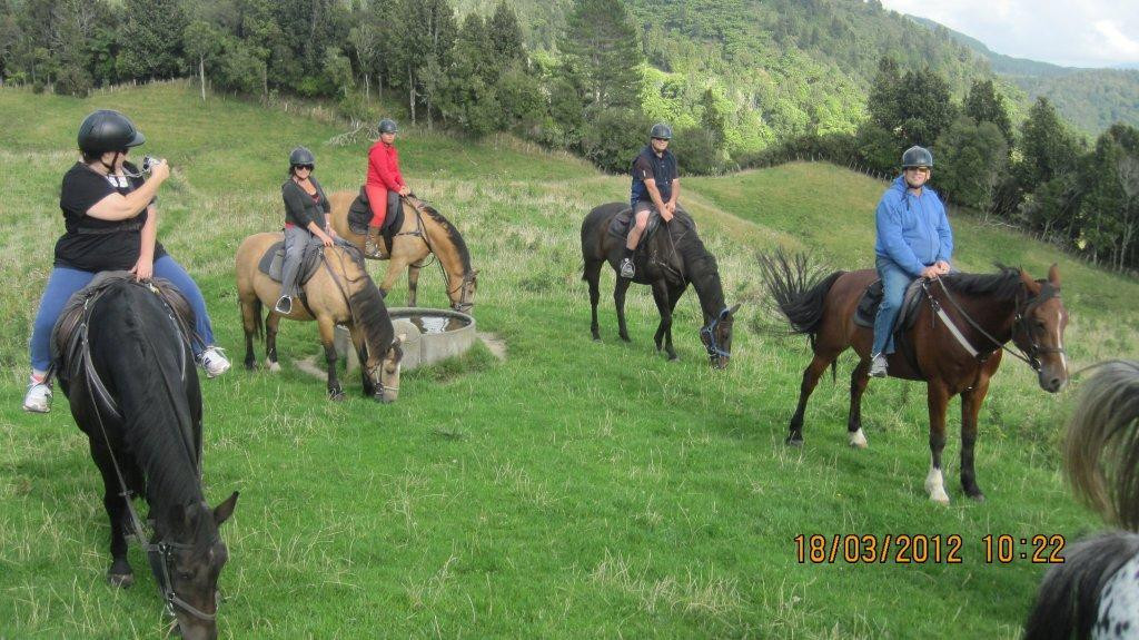 Horse Trekking Lake Okareka-罗托鲁瓦必去景点